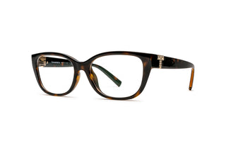 2510105040 Tortoise image-3