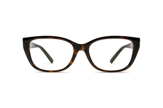 2510105040 Tortoise image-1