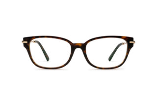 2510105050 Tortoise/Gold image-1