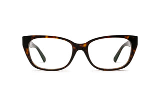 2510105090 Tortoise image-1