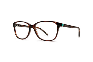 2510105240 Tortoise image-3