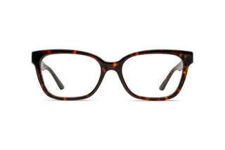 2640100420 Tortoise image-1