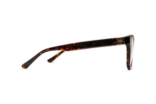 2640100420 Tortoise image-2