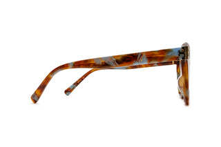 2640100480 Tortoise image-2