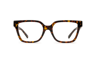 2640100520 Tortoise image-1