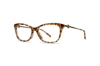 2640100780 Tortoise image-3