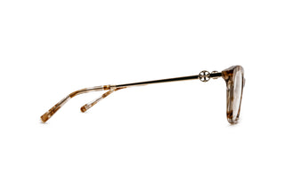 2640100780 Tortoise image-2