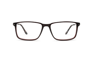 2650300780 Brown/Silver image-1