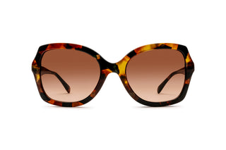 2740105910 Tortoise image-1