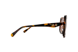 2740105910 Tortoise image-2