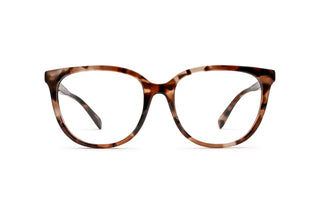 2740106100 Tortoise image-1