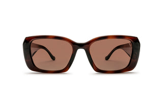 2740106530 Tortoise image-1