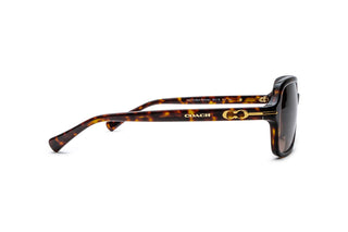 2741101420 Tortoise image-2