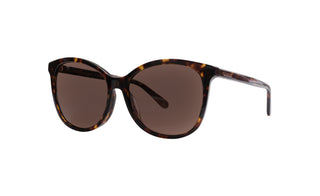 2741101850 Tortoise image-3