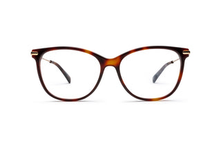 2780101140 Tortoise/Gold image-1