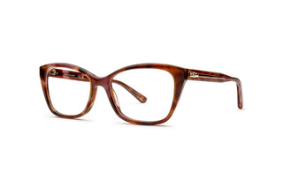 2780103730 Tortoise image-3
