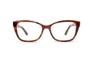2780103730 Tortoise image-1