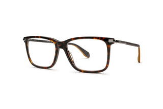 3040100680 Tortoise image-3