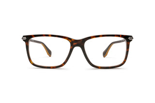 3040100680 Tortoise image-1