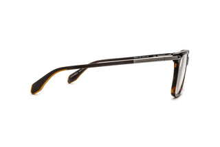 3040100680 Tortoise image-2