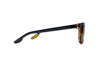 3070103190 Tortoise/Black image-2