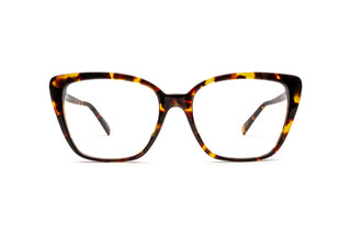 3090106110 Tortoise image-1