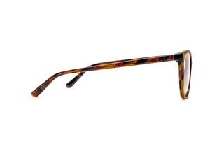 3090106550 Tortoise image-2