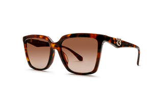 3090107900 Tortoise image-3
