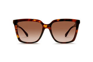 3090107900 Tortoise image-1