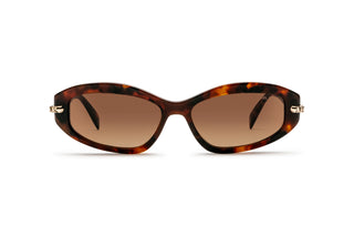 3090107930 Tortoise image-1