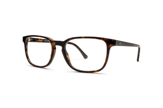 3330110480 Tortoise image-3