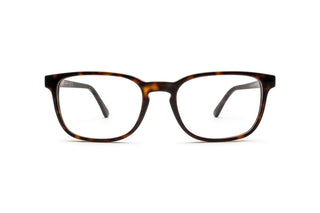 3330110480 Tortoise image-1