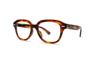 3330110500 Tortoise image-3