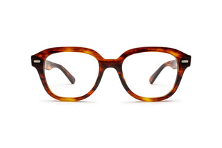 3330110500 Tortoise image-1