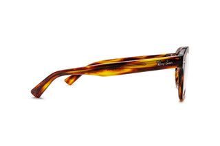 3330110500 Tortoise image-2