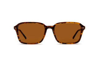 3330117950 Tortoise image-1