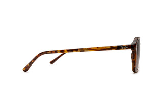 3330117950 Tortoise image-2