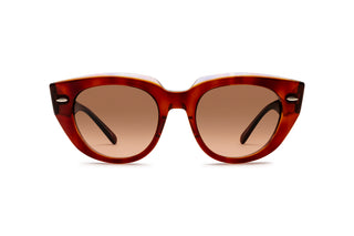 3330118090 Tortoise image-1