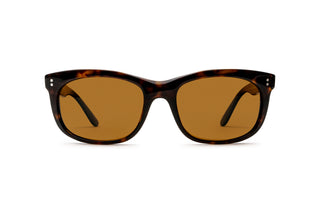 3330118120 Tortoise image-1