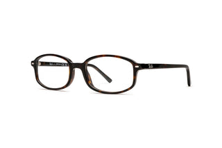 3330118300 Tortoise image-3
