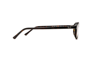 3330118300 Tortoise image-2