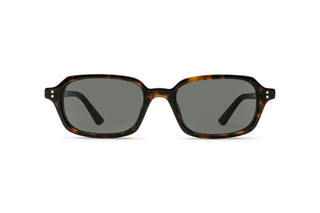 3330120110 Tortoise image-1