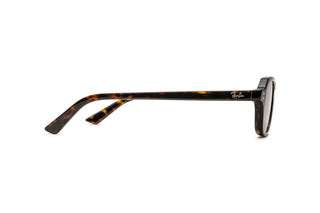 3330120110 Tortoise image-2