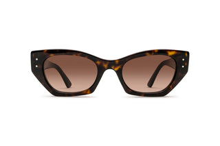 3330120150 Tortoise image-1
