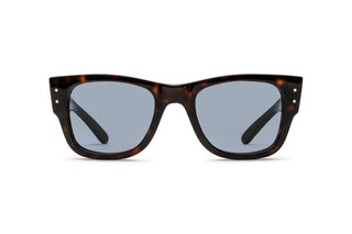 3330120220 Tortoise image-1