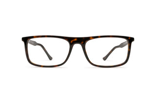 3330120370 Tortoise image-1