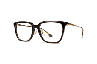 3330120430 Tortoise/Gold image-3