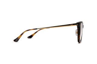 3330120430 Tortoise/Gold image-2