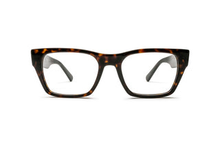 3330122620 Tortoise image-1