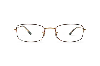 3330122630 Tortoise/Gold image-1
